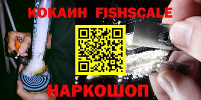 крисы Новокубанск