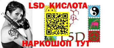 крисы Новокубанск