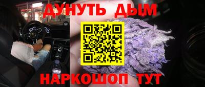 крисы Новокубанск