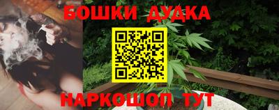 крисы Новокубанск