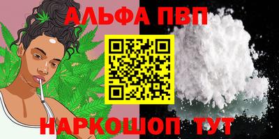 крисы Новокубанск