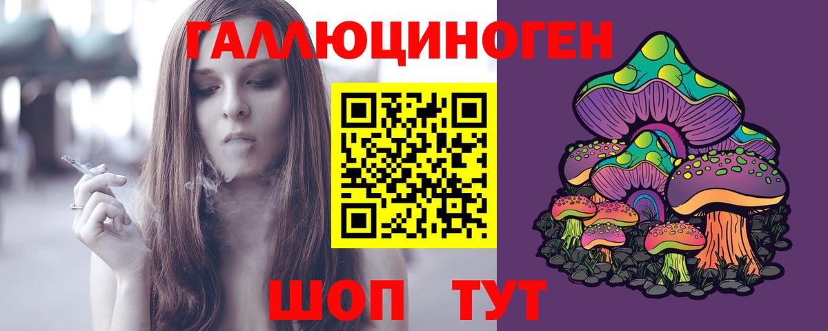 Тула  Галлюциногенные грибы Psilocybe  закладки  Вход с VPN 