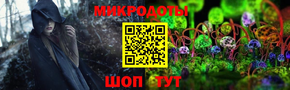 Галлюциногенные грибы Cubensis Тула